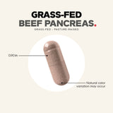 Codeage Grass-Fed Beef Pancreas Glandular Supplement