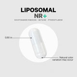 Codeage Nicotinamide Riboside+ Eternal NR -TMG Supplement