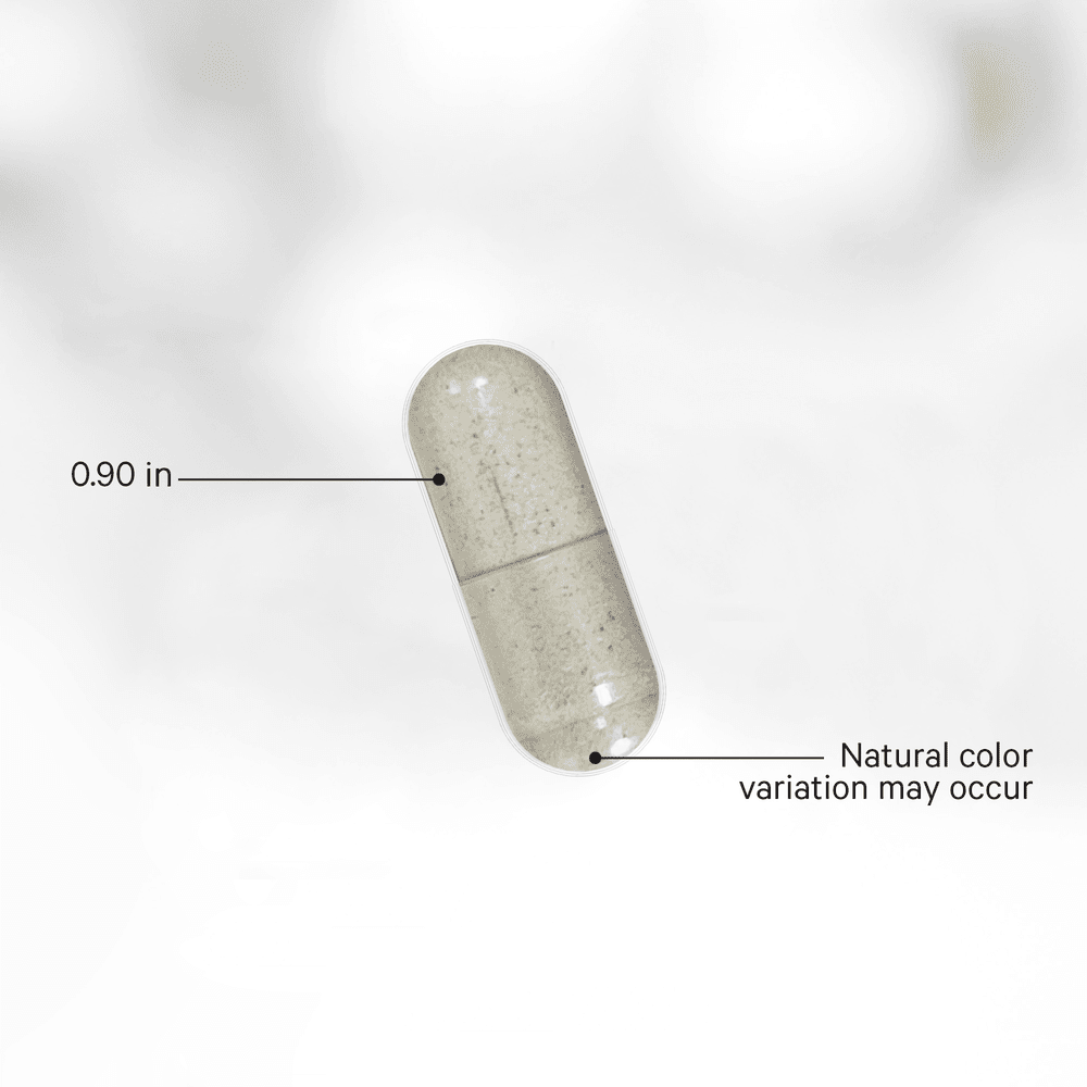 Codeage Amen Leaky Gut - Bodybuilding.com