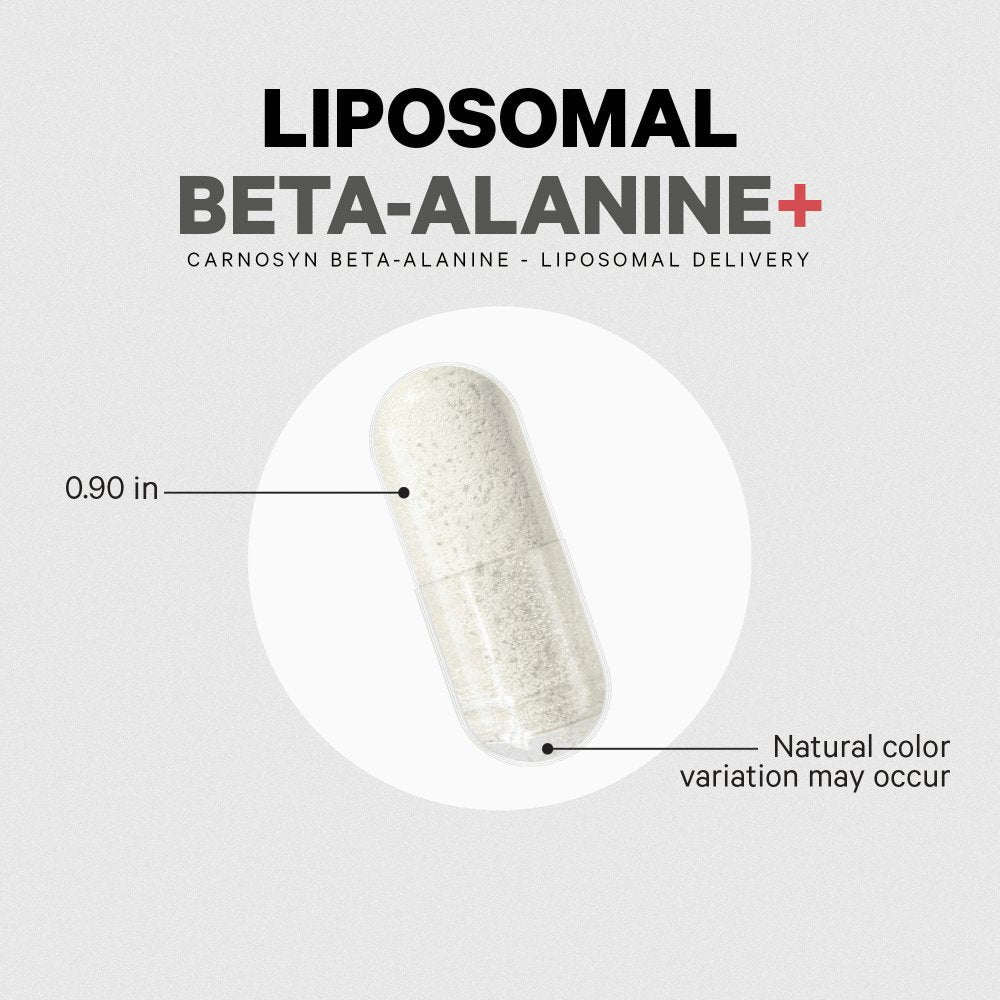 Codeage Beta - Alanine+ Carnosyn® Enhanced Absorption Supplement - Bodybuilding.com