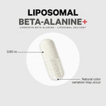 Codeage Beta - Alanine+ Carnosyn® Enhanced Absorption Supplement - Bodybuilding.com