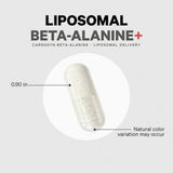 Codeage Beta - Alanine+ Carnosyn® Enhanced Absorption Supplement - Bodybuilding.com