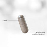 Codeage Instantfood Fast Fruits Daily Fruit Blend Supplement - Bodybuilding.com