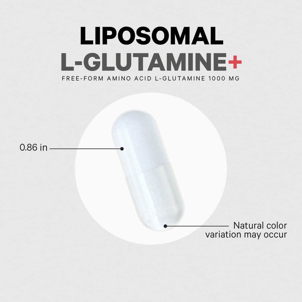 Codeage L - Glutamine+ Free - Form Amino Acid Supplement - Bodybuilding.com