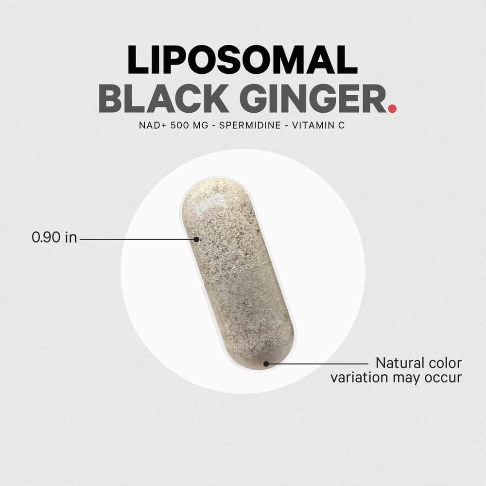 Codeage Liposomal Black Ginger - Bodybuilding.com