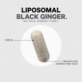Codeage Liposomal Black Ginger - Bodybuilding.com