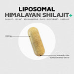 Codeage Liposomal Himalayan Shilajit+ - Bodybuilding.com