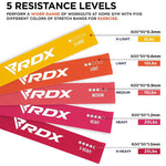 RDX Sports Latex Resistance Bands Set - Basic - Bodybuilding.com