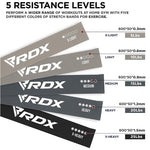 RDX Sports Latex Resistance Bands Set - Basic - Bodybuilding.com