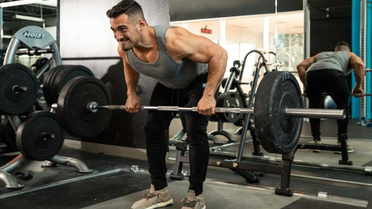 5 Best Bodybuilding Programs For A Chisled Physique