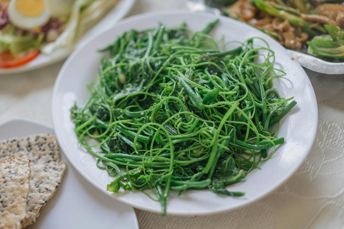 5 Reasons Why More Fiber Should be Your Top Nutritional Goal