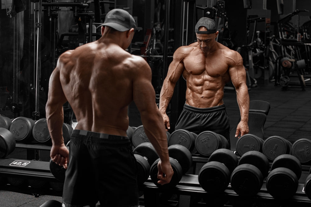 Does Creatine Help Recovery?