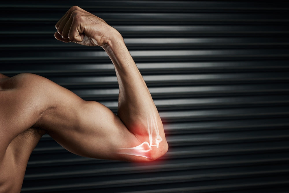 The Connection Between Bone Density and Resistance Training