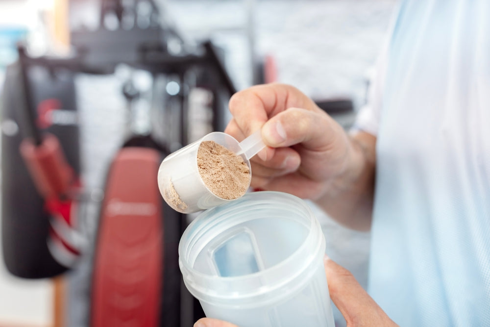 Protein Powder 101: Whey vs. Casein vs. Plant Protein