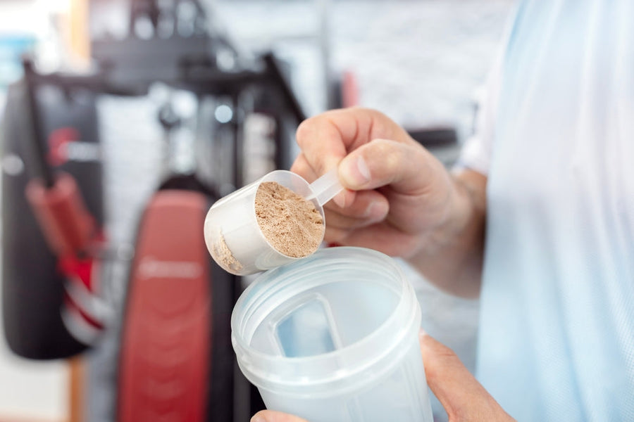 Protein Powder 101: Whey vs. Casein vs. Plant Protein