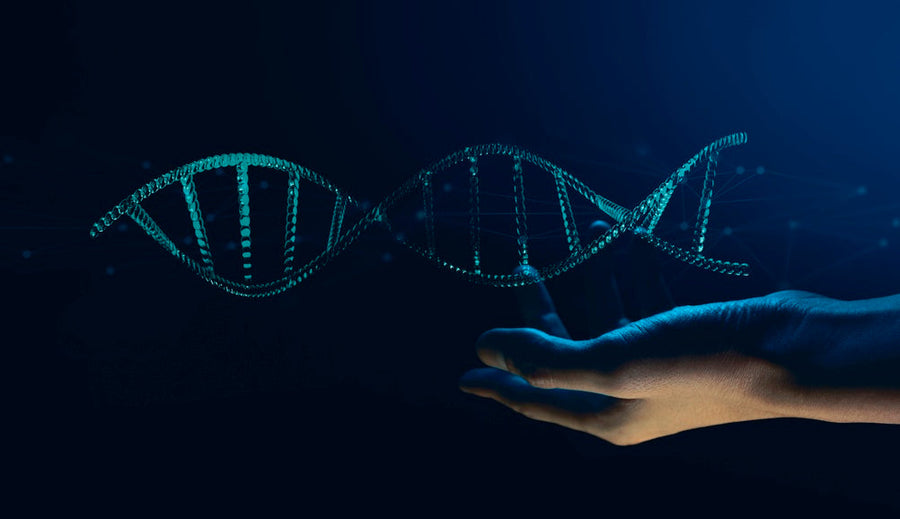 The Science of Cellular Aging: Where NAD+ Fits Into the Conversation
