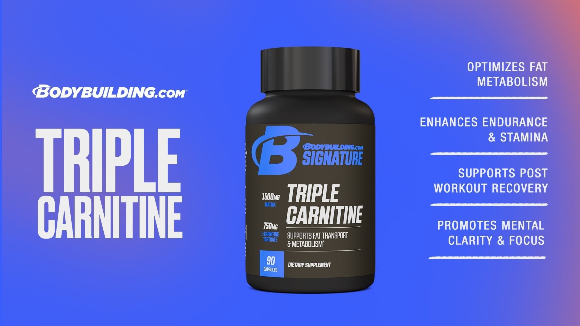 Signature Triple Carnitine: Boost Weight Loss, Energy & More - Bodybuilding.com Signature Triple Carnitine: Boost Weight Loss, Energy & More - Bodybuilding.com