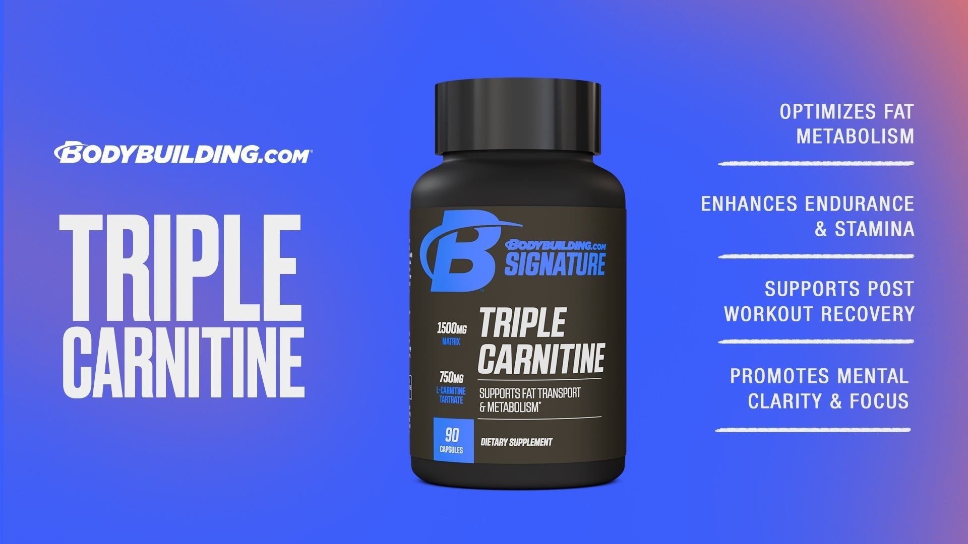 Signature Triple Carnitine: Boost Weight Loss, Energy & More - Bodybuilding.com