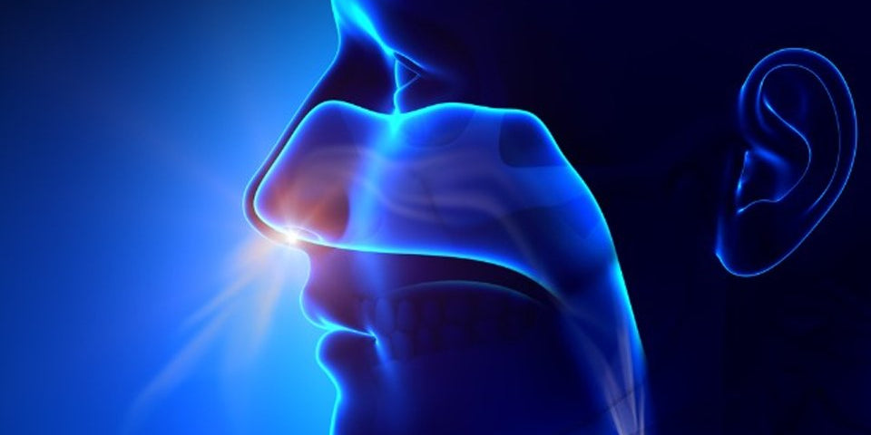 The Benefits of Nose Breathing: Top 4 Reasons You Shouldn't Be a Mouth-Breather - Bodybuilding.com