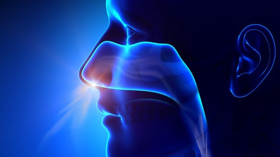 The Benefits of Nose Breathing: Top 4 Reasons You Shouldn't Be a Mouth-Breather - Bodybuilding.com