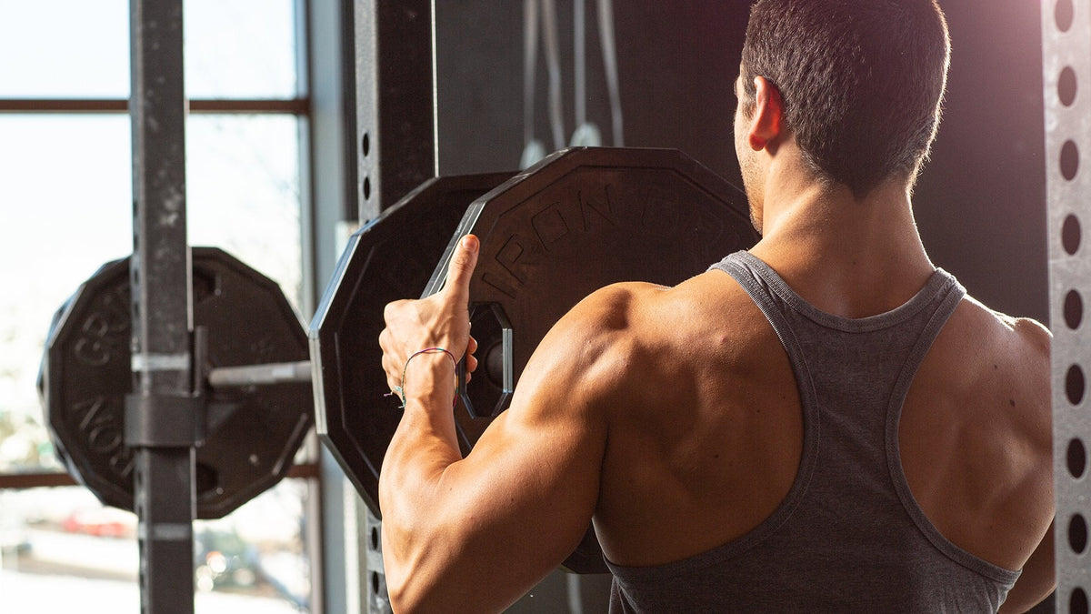 The Ultimate Shoulders And Triceps Blast