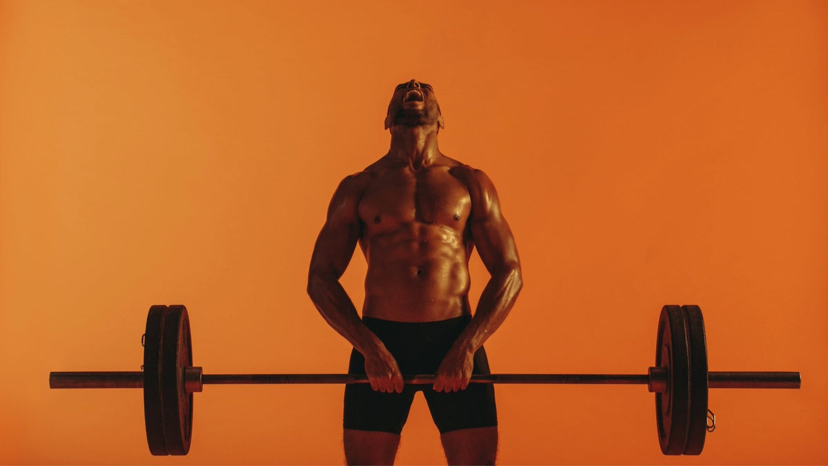 Your Best Body Ever: 5 Tips to Burn Fat and Build Muscle