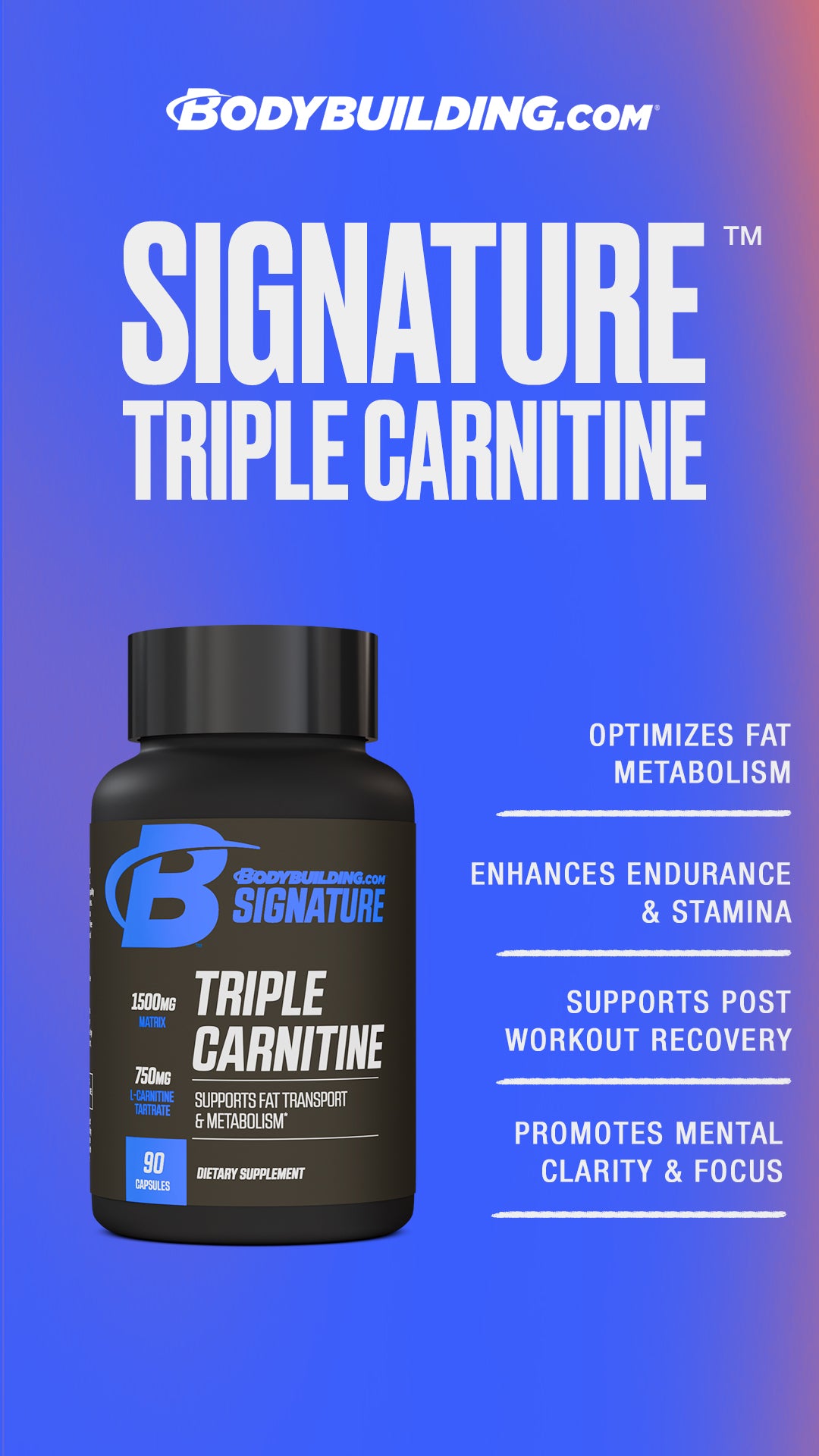 Signature Triple Carnitine by Bodybuilding.com Signature Triple Carnitine by Bodybuilding.com