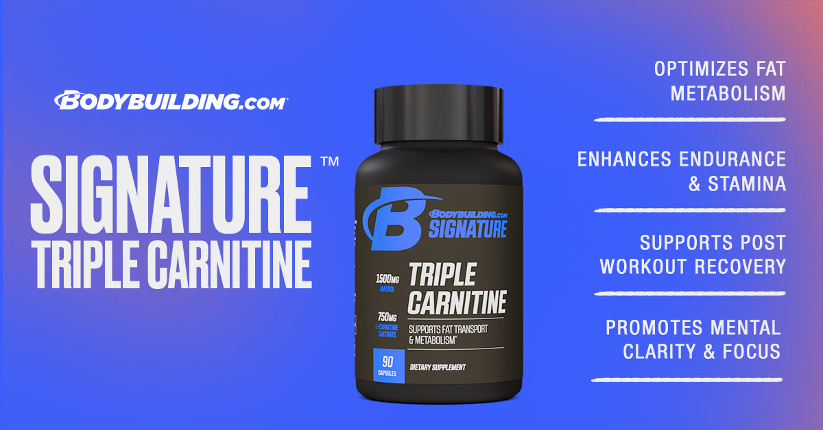 l carnitine l tartrate benefits bodybuilding Bodybuilding.com Signature Triple Carnitine l carnitine l tartrate benefits bodybuilding Bodybuilding.com Signature Triple Carnitine