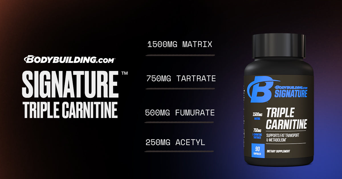 acetyl l carnitine bodybuilding acetyl l carnitine bodybuilding Core Acetyl-L-Carnitine – Tier One Nutrition acetyl l carnitine bodybuilding acetyl l carnitine bodybuilding Core Acetyl-L-Carnitine – Tier One Nutrition