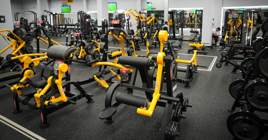 Panatta