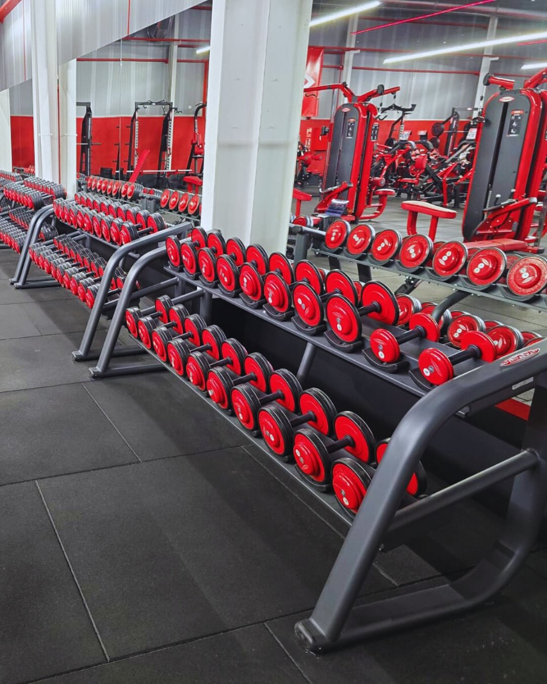 Panatta
