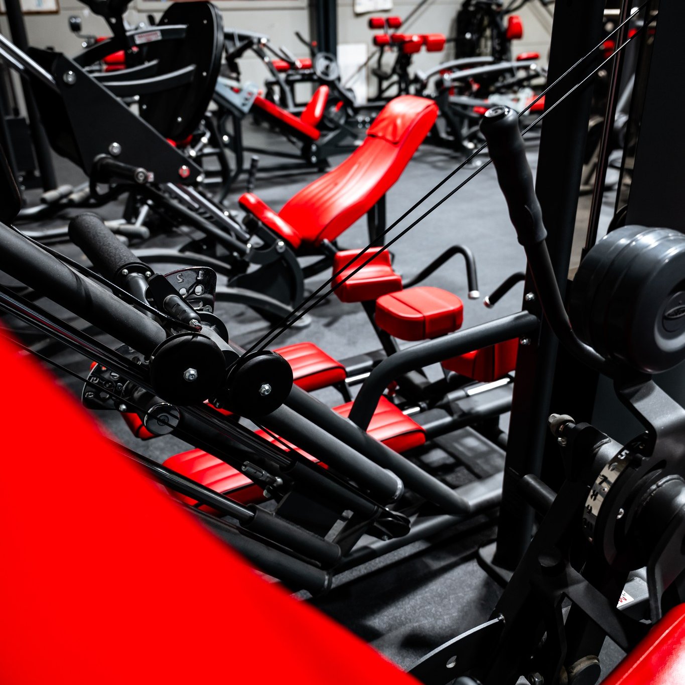 Panatta