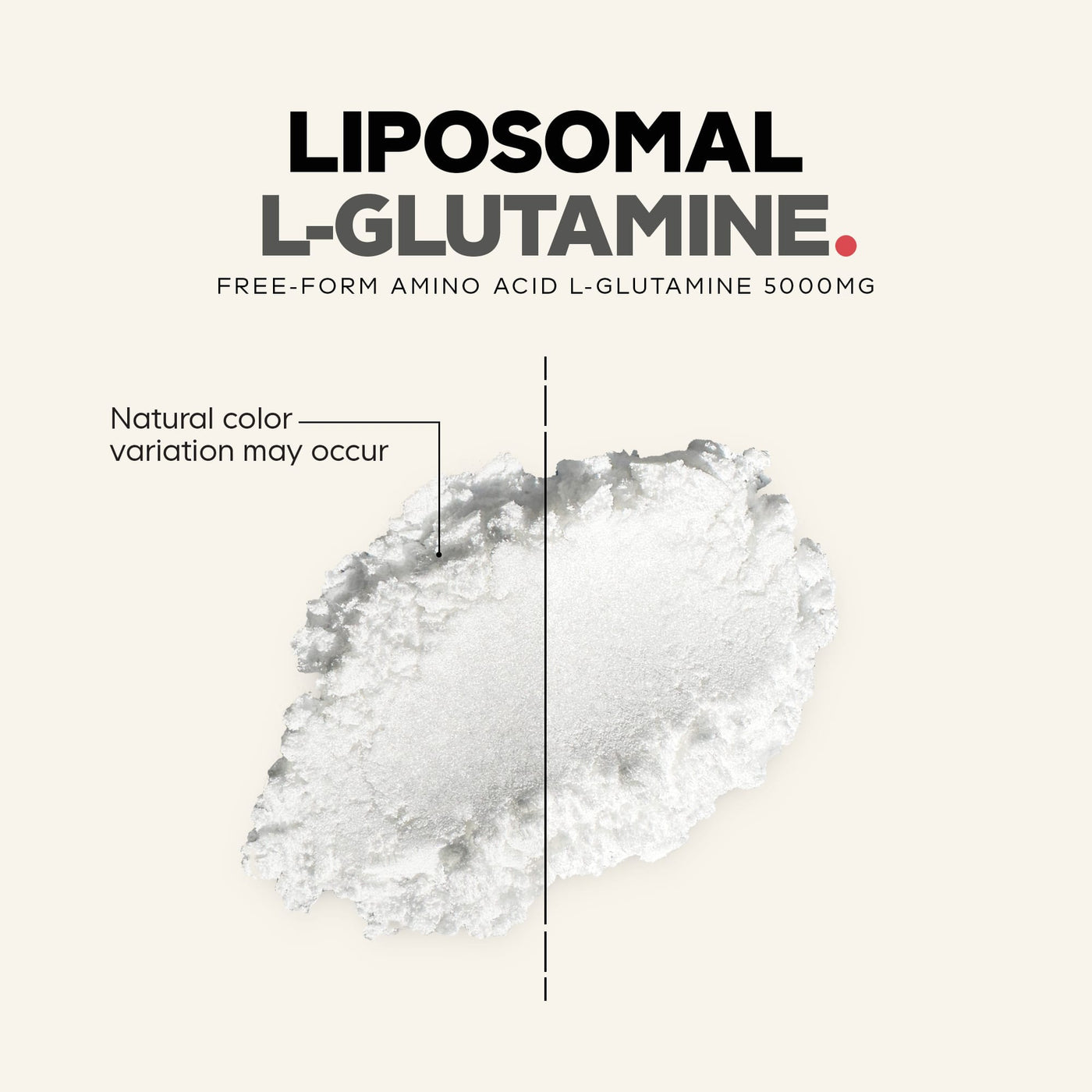 Codeage L-Glutamine+ Free-Form Amino Acid Powder Supplement