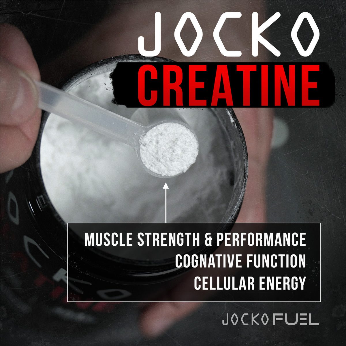 JOCKO Creatine