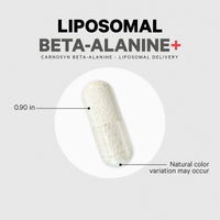 Codeage Beta-Alanine+ Carnosyn Enhanced Absorption Supplement