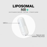 Codeage Nicotinamide Riboside+ Eternal NR -TMG Supplement