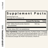 Codeage Nanofood - Liquid Liposomal NAD