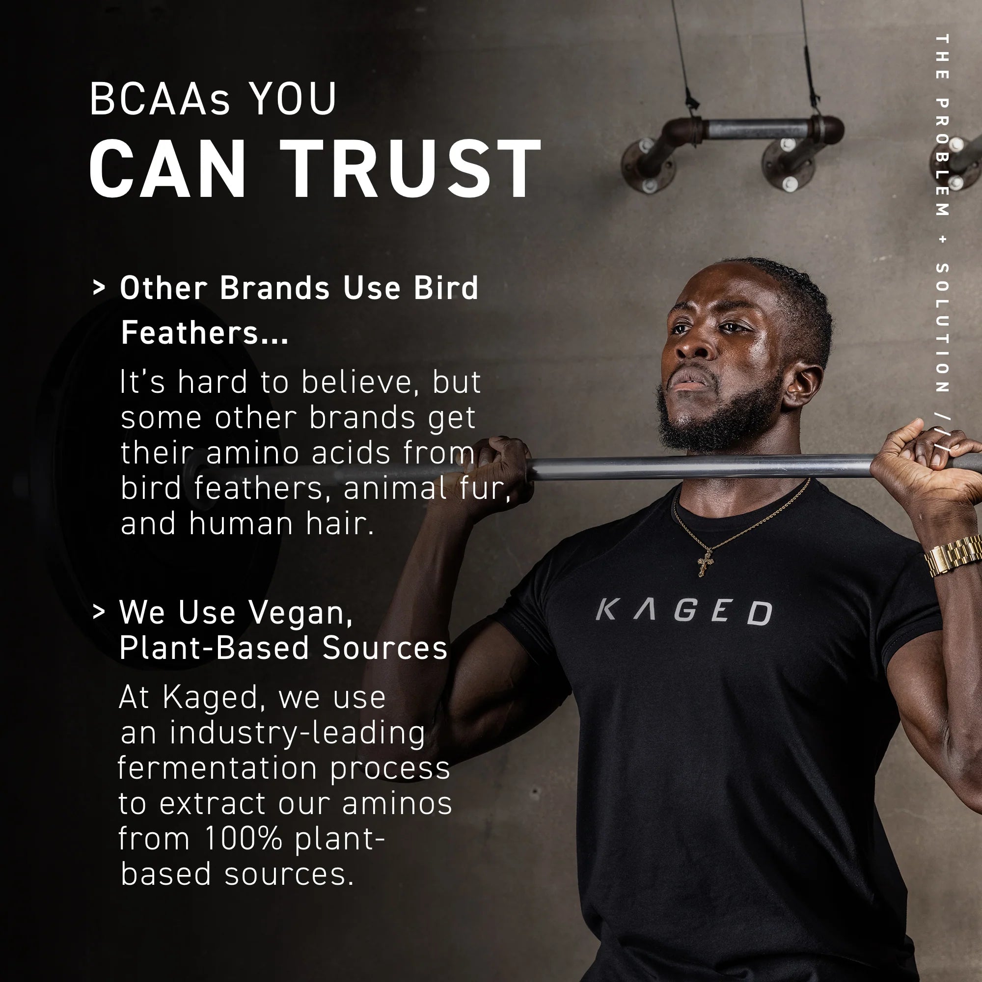 BCAs You Can Trust