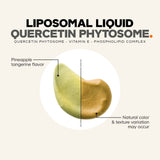 Codeage Nanofood Quercetin Phytosome