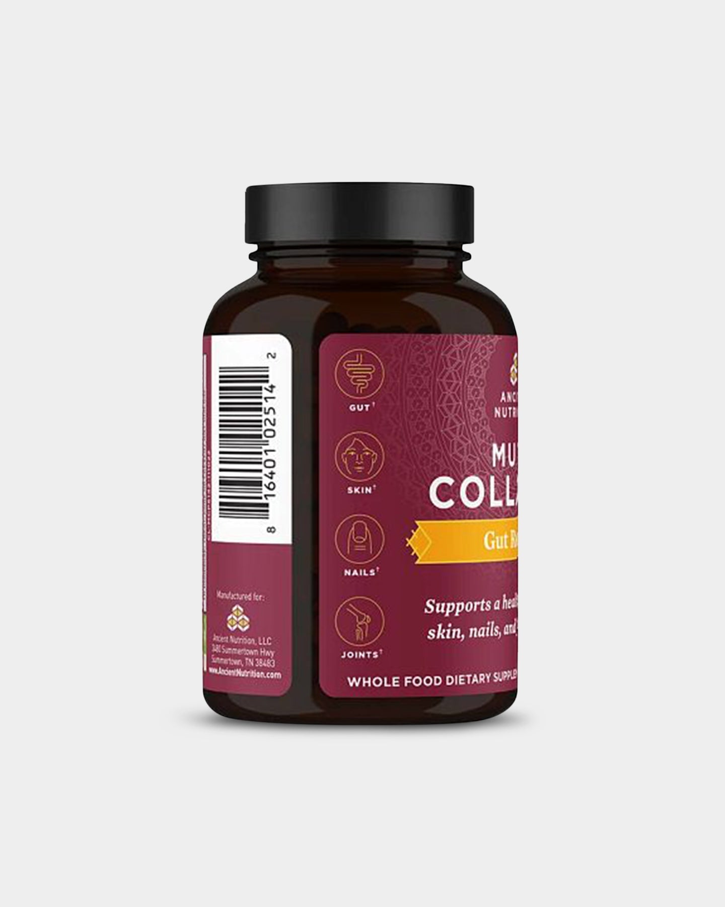 Ancient Nutrition Multi Collagen - Gut Restore - Bodybuilding.com