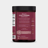 Ancient Nutrition Multi Collagen Protein - Beauty Within - Bodybuilding.com