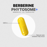 Codeage Berberine Phytosome+ 60 ct - Bodybuilding.com