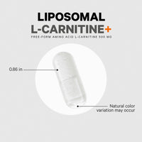 Codeage L - Carnitine+ Free - Form Amino Acid Supplement - Bodybuilding.com