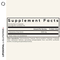 Codeage L - Glutamine+ Free - Form Amino Acid Supplement - Bodybuilding.com