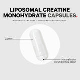 Codeage Liposomal Creatine Monohydrate Capsules - Bodybuilding.com