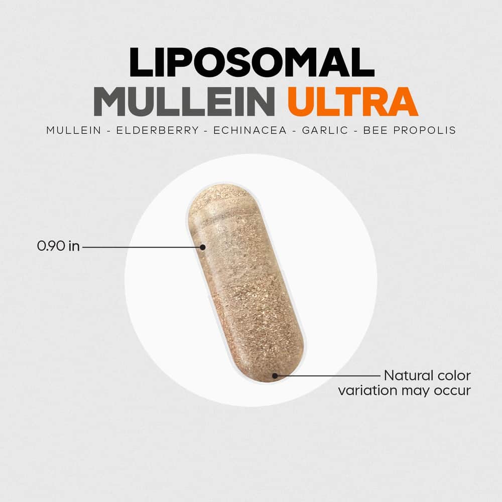 Codeage Liposomal Mullein Ultra - Bodybuilding.com