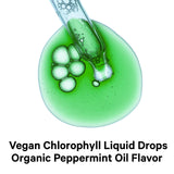 Codeage Vegan Chlorophyll Liquid Drops Supplement - Bodybuilding.com