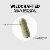 Codeage Wildcrafted Sea Moss Supplement - Bodybuilding.com