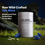 Codeage Wildcrafted Sea Moss Supplement - Bodybuilding.com