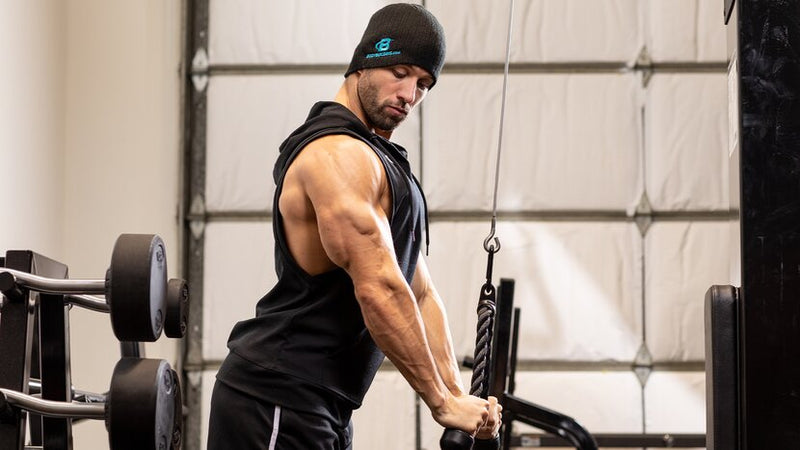 L-Carnitine Supplements